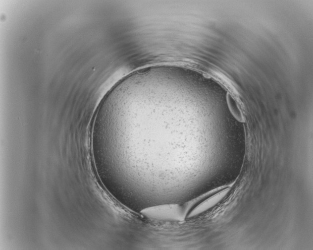 X0000087390907200705042007