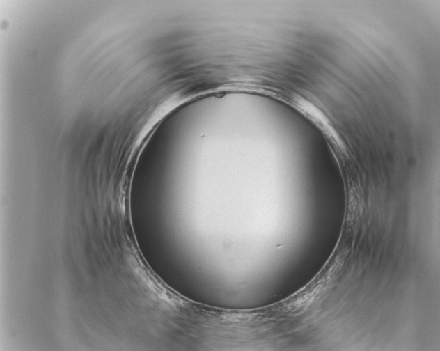 X0000087390908200705042007