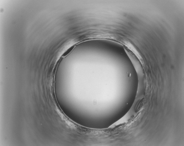 X0000087390909200705042007