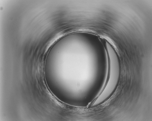 X0000087390910200705042007