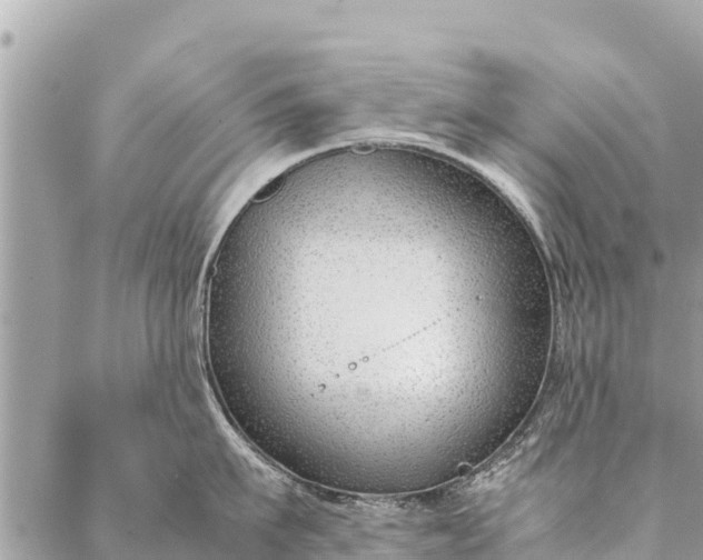 X0000087390911200705042007