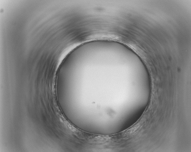 X0000087390912200705042007