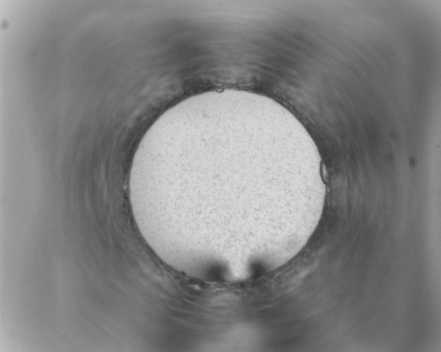 X0000087390913200705042006