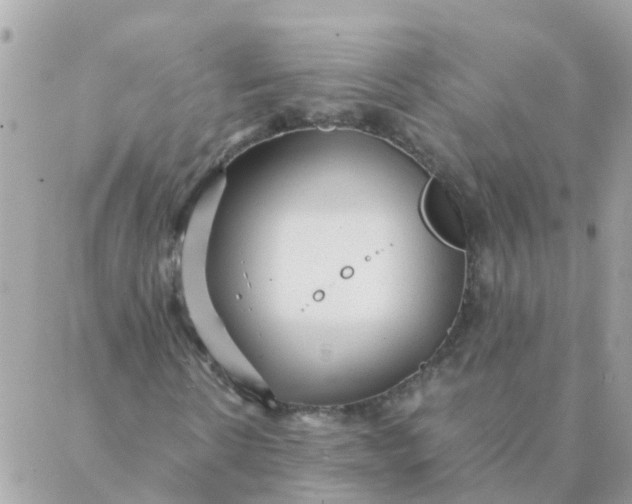 X0000087390914200705042006