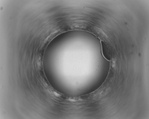 X0000087390915200705042006