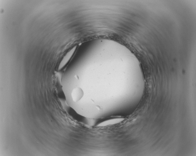 X0000087390916200705042006