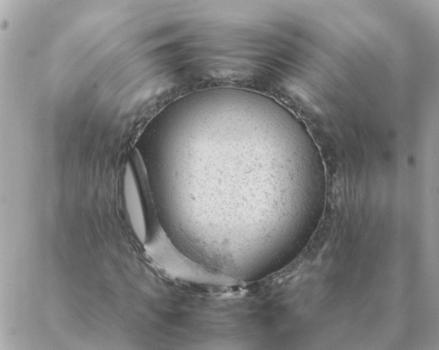 X0000087390917200705042006