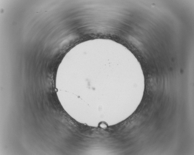 X0000087390918200705042006