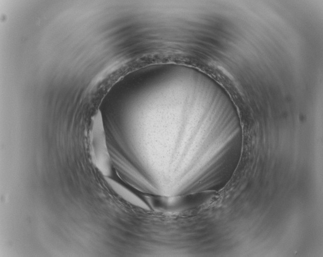 X0000087390919200705042006