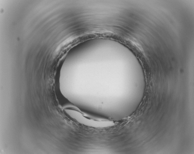 X0000087390920200705042006