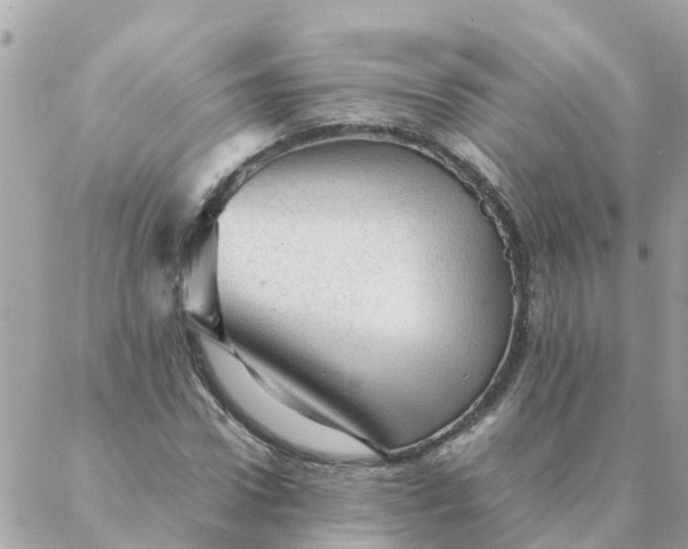 X0000087390922200705042006