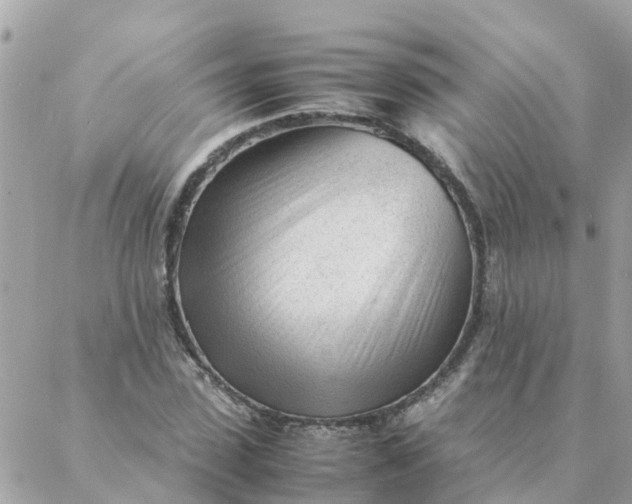 X0000087390923200705042006