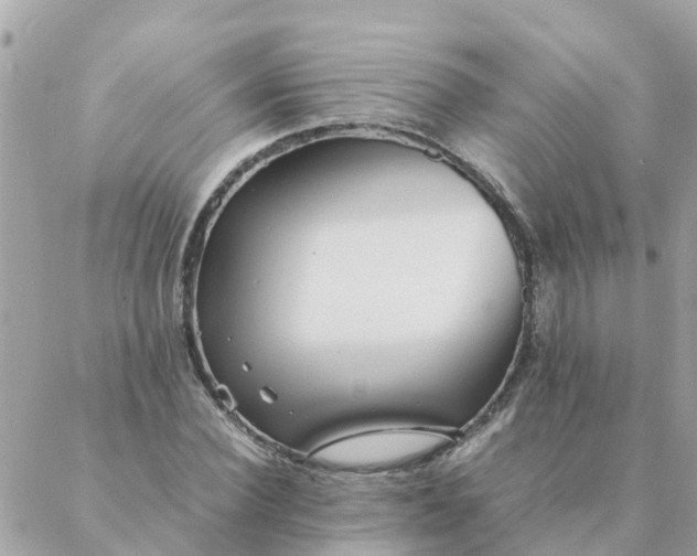 X0000087390924200705042006