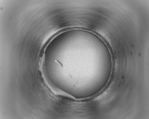 X0000087390925200705042006