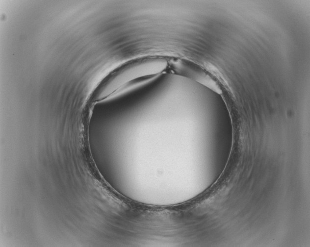 X0000087390926200705042006