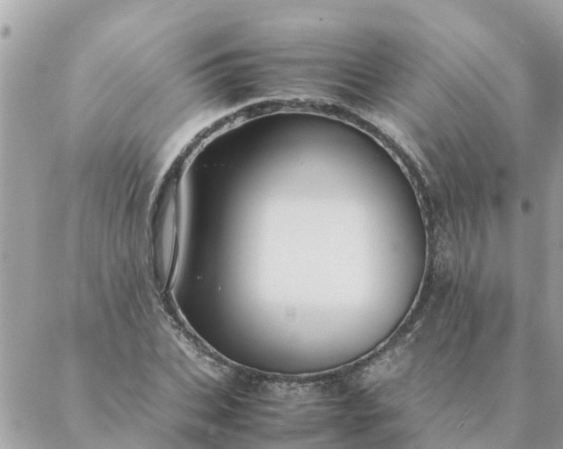 X0000087390927200705042007