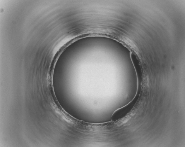 X0000087390928200705042007