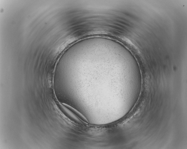 X0000087390929200705042007