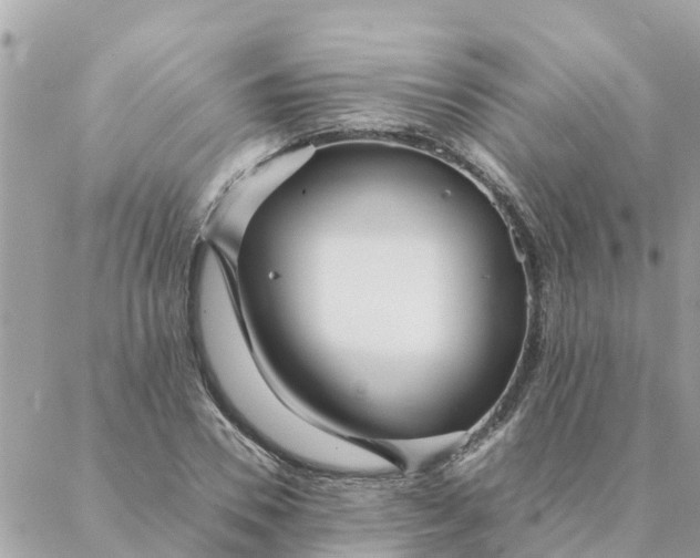 X0000087390930200705042007