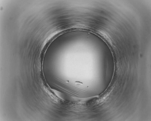 X0000087390931200705042007