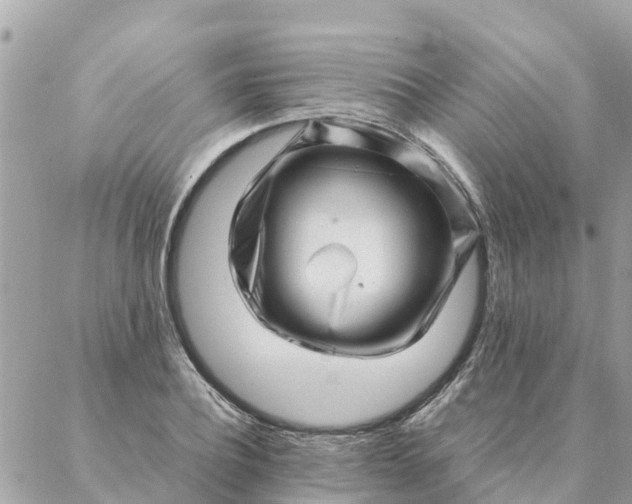 X0000087390932200705042007