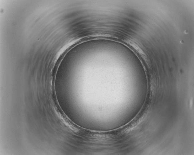 X0000087390933200705042007