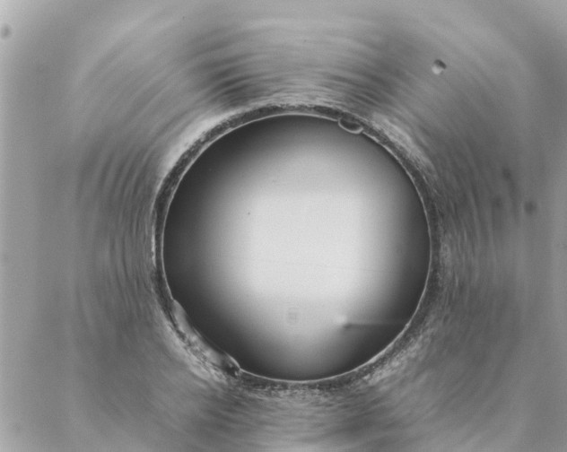 X0000087390934200705042007