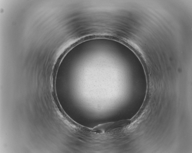 X0000087390935200705042007