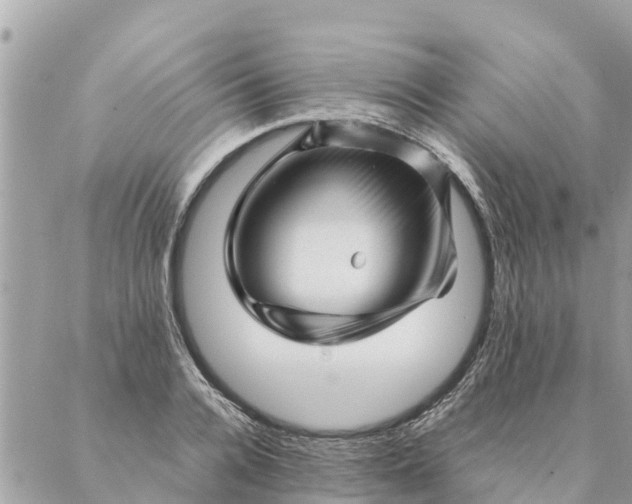 X0000087390936200705042007