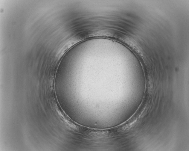 X0000087390937200705042007