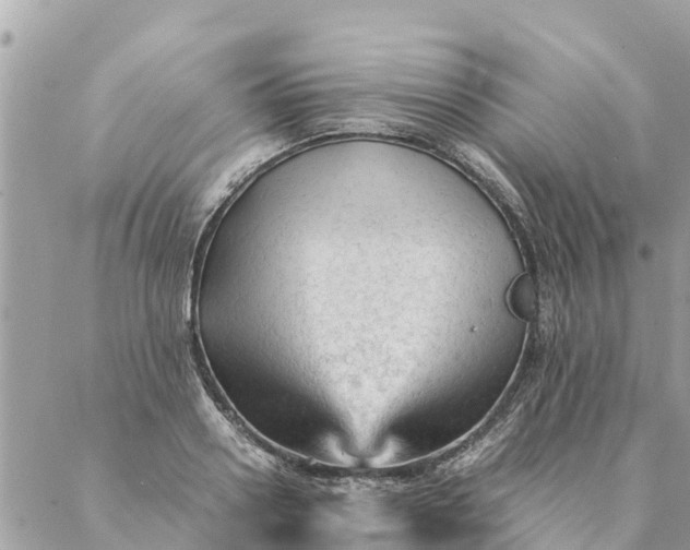 X0000087390938200705042007