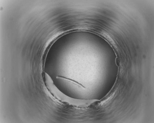 X0000087390939200705042007