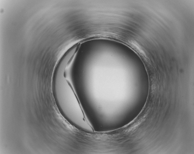 X0000087390940200705042007