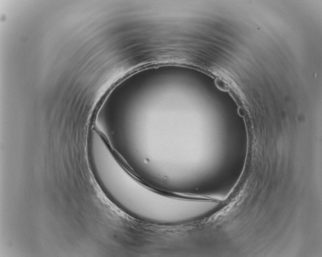 X0000087390941200705042007