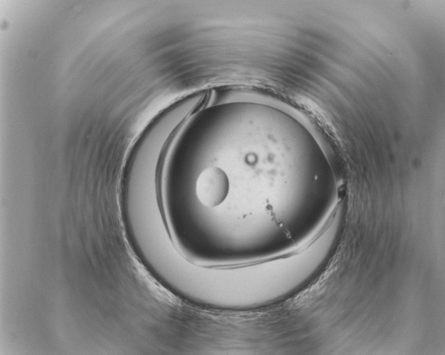 X0000087390942200705042007