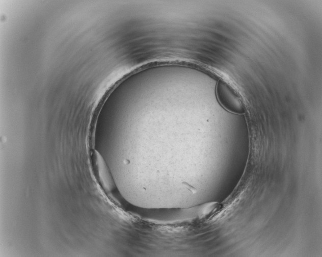 X0000087390943200705042007