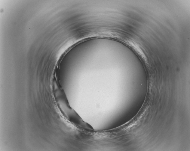 X0000087390944200705042007