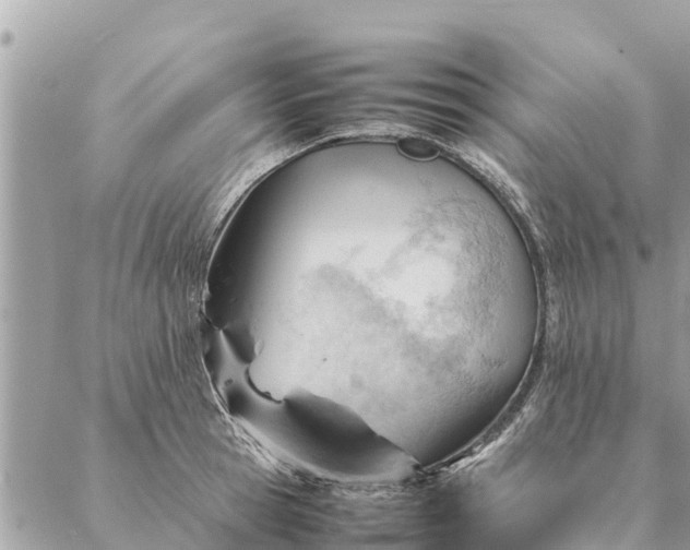 X0000087390945200705042007