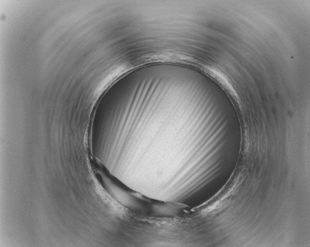 X0000087390946200705042007