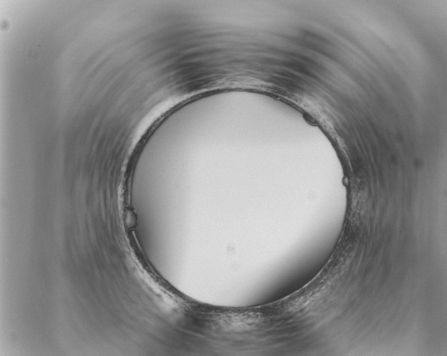 X0000087390947200705042007