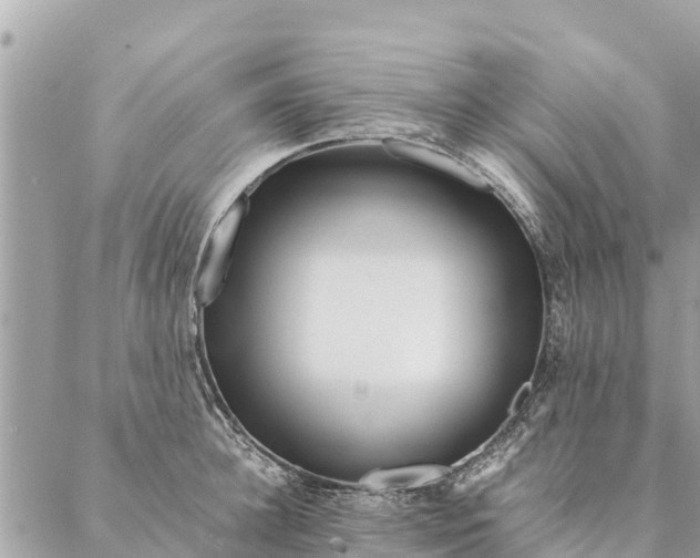 X0000087390948200705042007