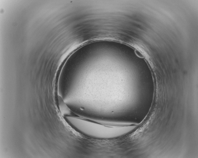 X0000087390949200705042007