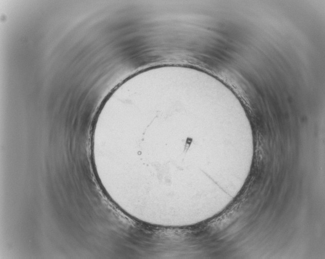 X0000087390950200705042007