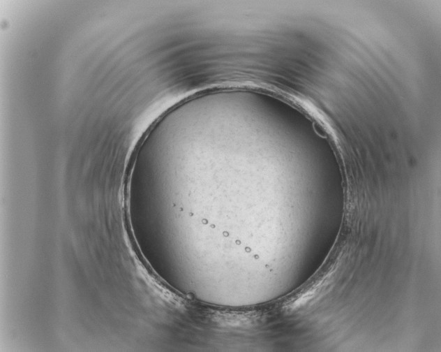 X0000087390951200705042007