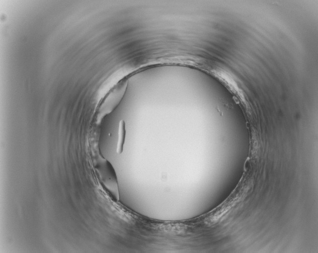 X0000087390952200705042007