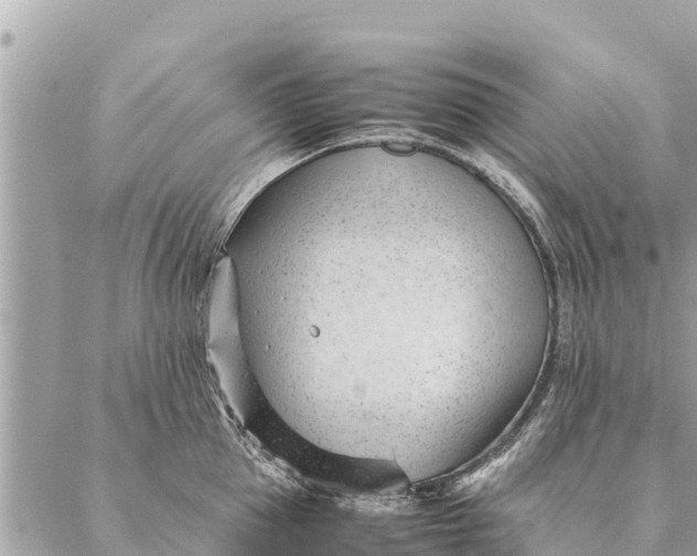 X0000087390953200705042007