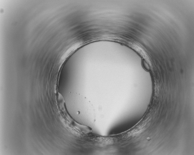 X0000087390954200705042007