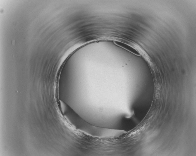 X0000087390955200705042007