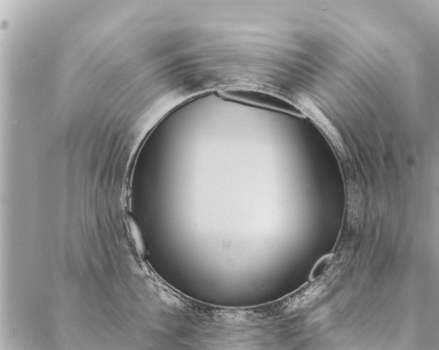 X0000087390956200705042007