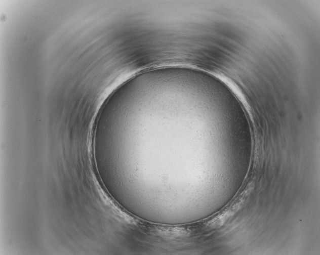 X0000087390957200705042007